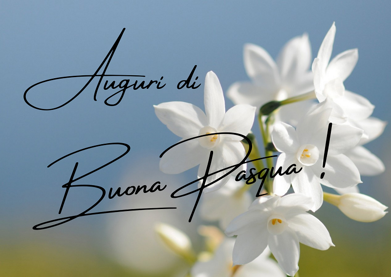 /upload/pages/219/self2-210329auguripasqua.png